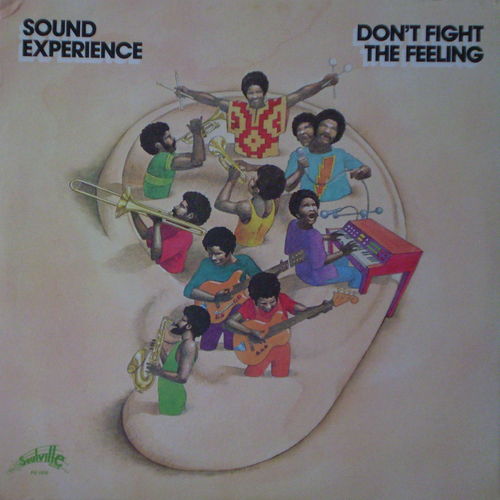 Sound Experience - Don't Fight the Feeling